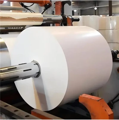 paper manufacture